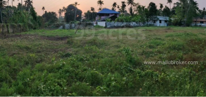 53 commerical polt for sale in kakkanadu @ 14lacs per cent