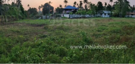 53 commerical polt for sale in kakkanadu @ 14lacs per cent