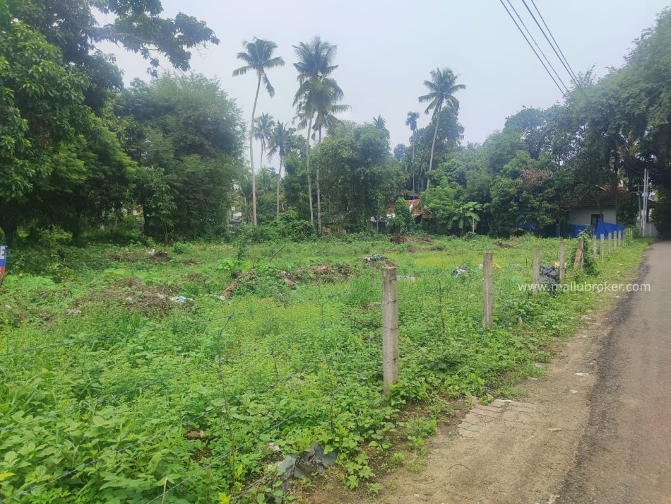 land for sale in kandanadu 