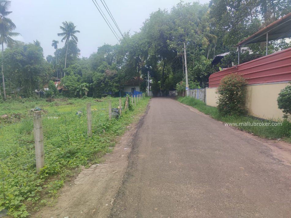 land for sale in kandanadu 